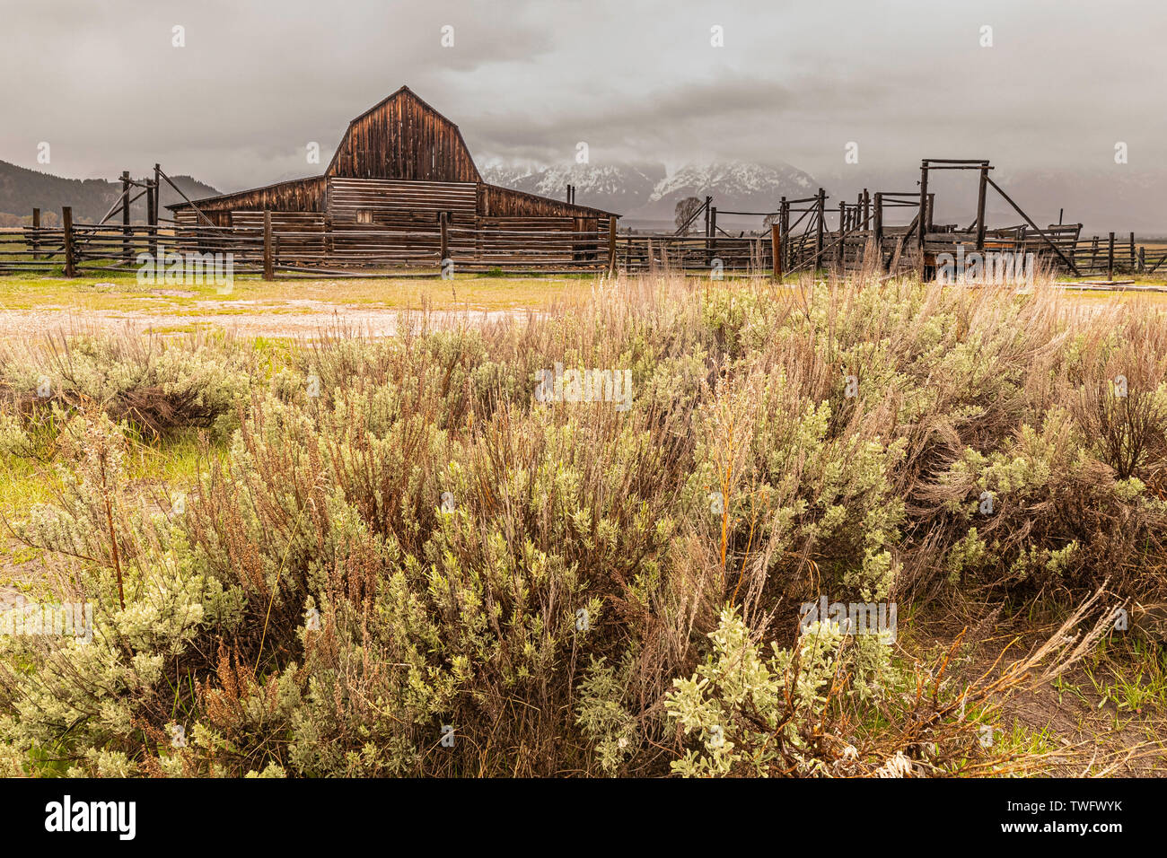 Verfallenen Scheunen in der mormonischen Reihe, Grand Teton National Park, Wyoming, USA Stockfoto