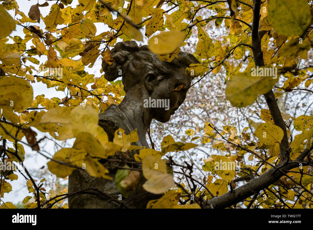 Alte Denkmal ummantelte im Herbst Zweige Stockfoto