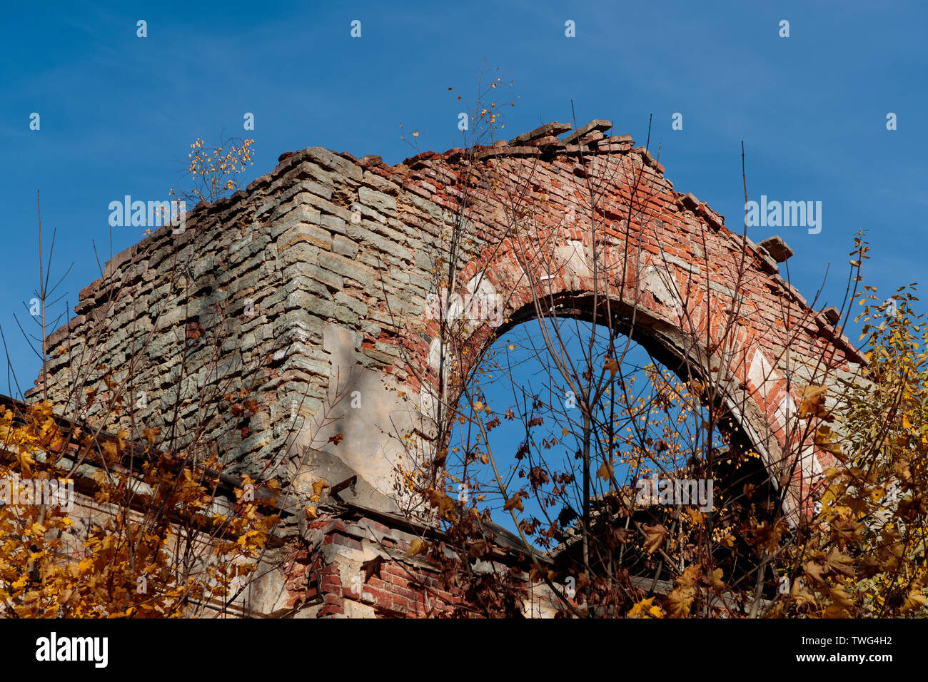 Arch eines alten Gebäudes gegen den Himmel und herbstlichen Baum Zweige Stockfoto Arch eines alten Gebäudes gegen den Himmel und herbstlichen Baum Zweige Stockfoto