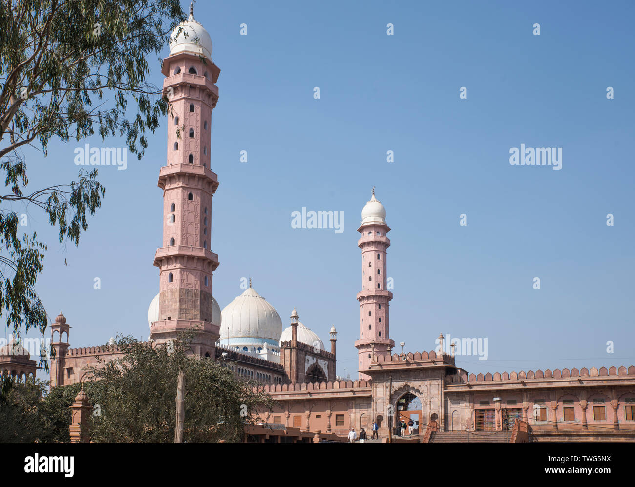 Taj-ul-Masjid in Bhopal, Madya Pradesh Stockfoto