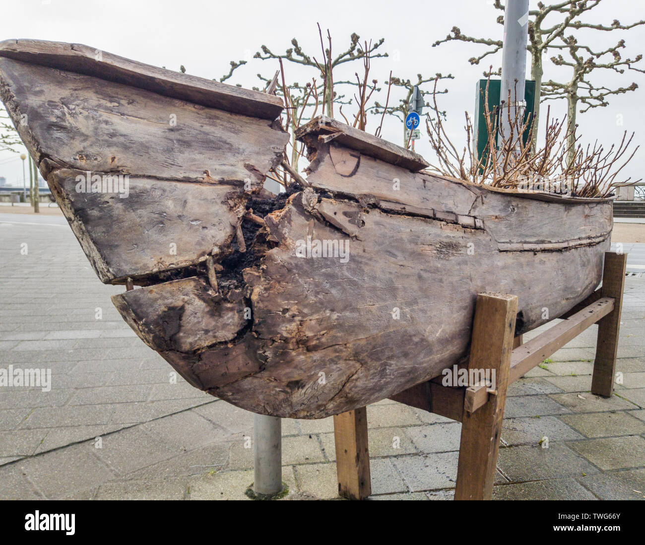 Aus einem alten Holzboot auf dem Rhein in Düsseldorf Blumenbeet. Stockfoto