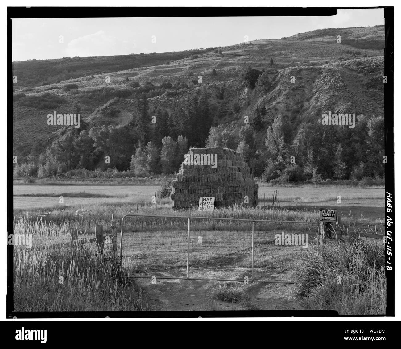 RANCH LANDET IN PROVO RIVER VALLEY. Blick nach Osten. - Jordanelle Tal, Heber City, Wasatch County, UT Stockfoto