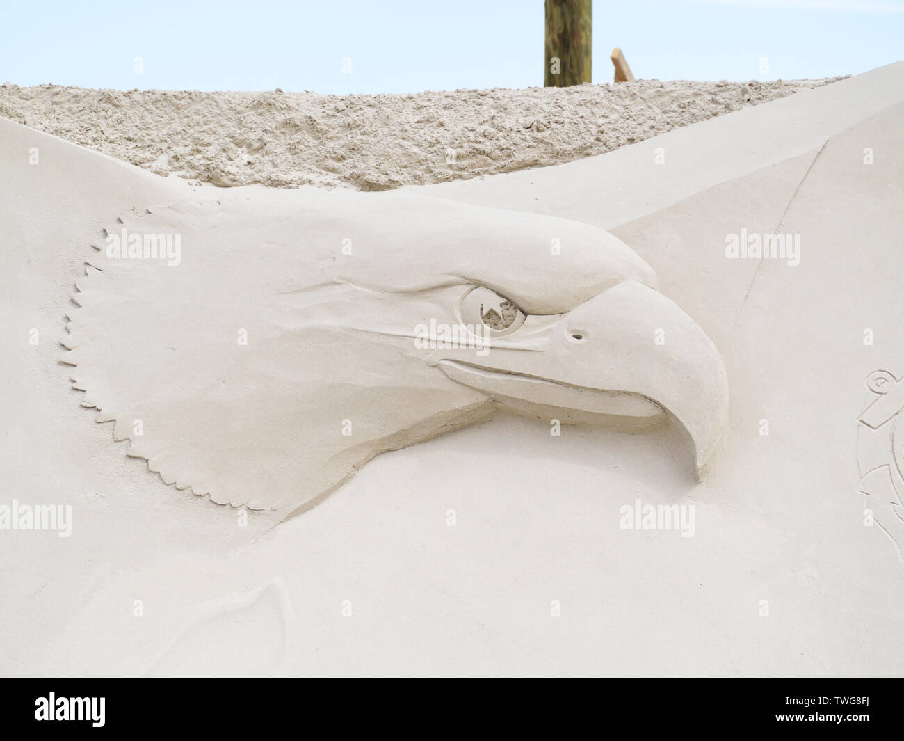 United States Marine Corps Eagle sculpted in Sand, Nahaufnahme. Texas Sandfest 2019 in Port Aransas, Texas USA. Stockfoto