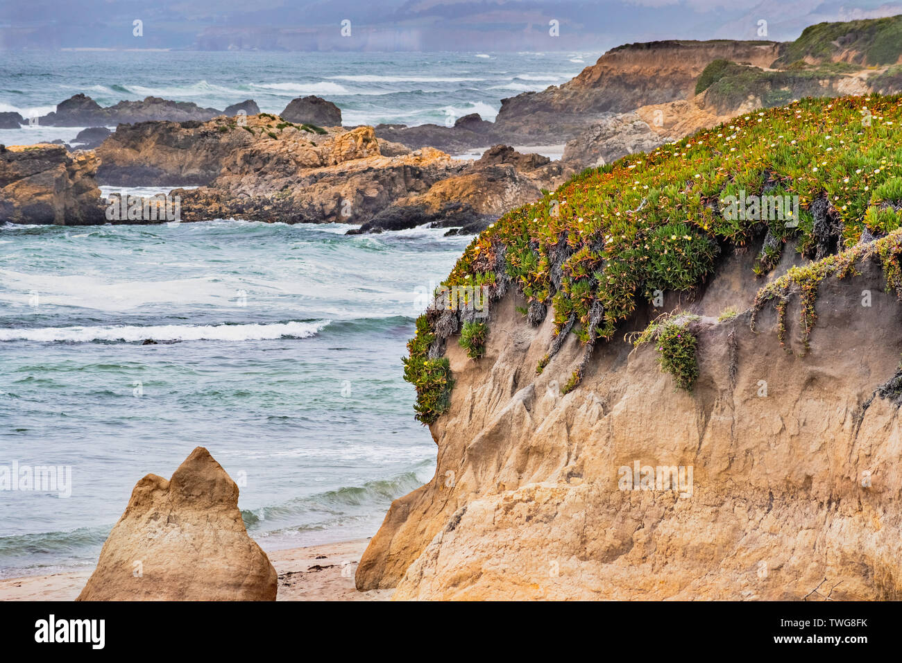 Die robuste Pazifik Küste an einem bewölkten Tag, Pescadero State Beach, Kalifornien Stockfoto