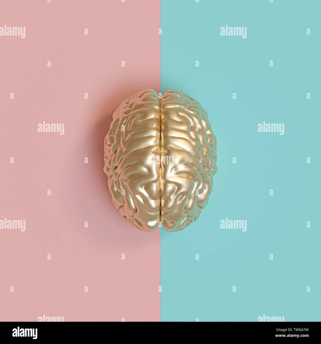 3d rednering Bild eines menschlichen Gehirns gold, blau und rosa Hintergrund, Konzept der Vielfalt zwischen den Geschlechtern. Flacher Stil legen. Stockfoto