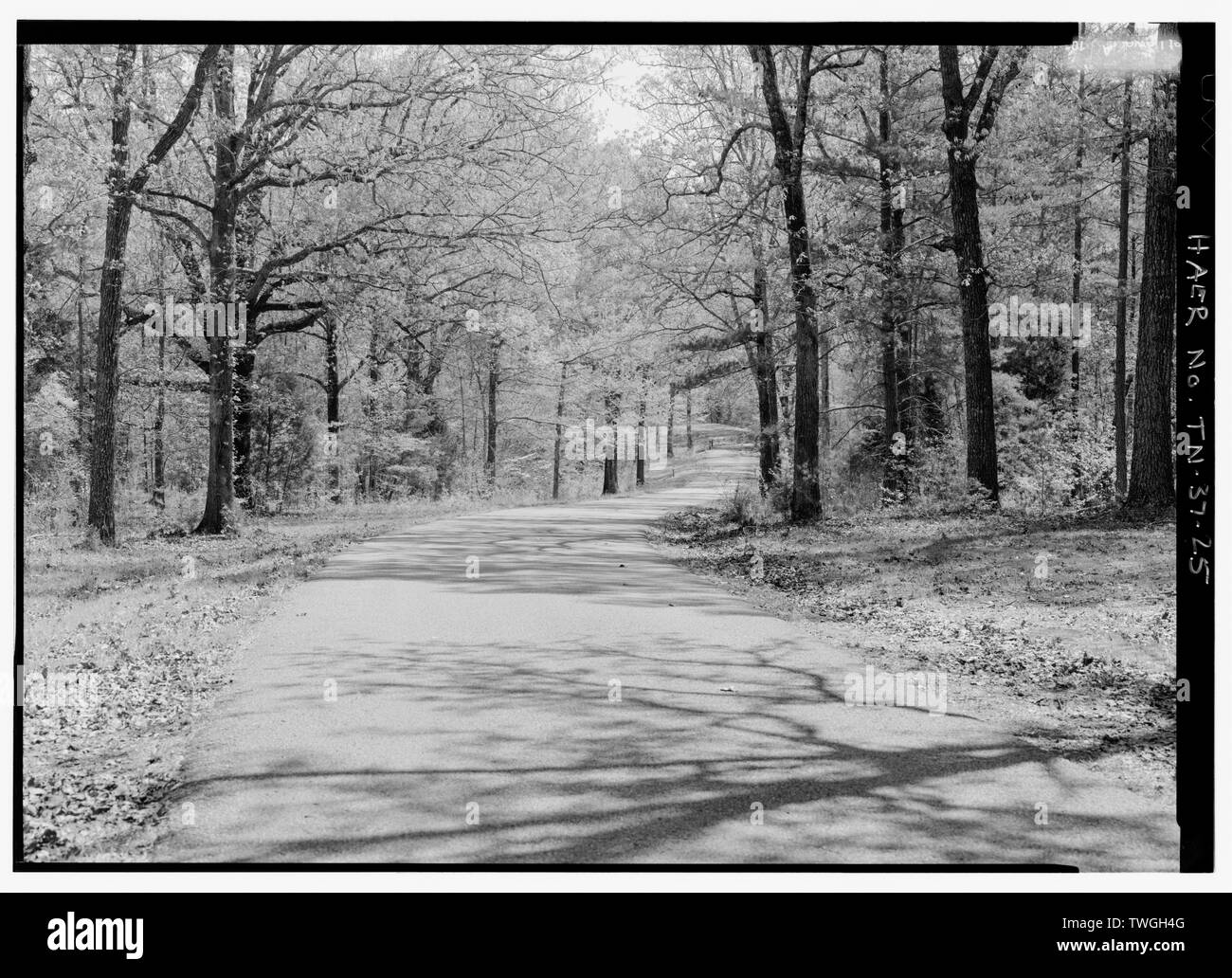 Reine MARKTERKUNDUNGS STRASSE NACH OSTEN, BEVOR ES SCHLEIFEN GEGEN MITTERNACHT IN DER FERNE. Anzeigen E.-Silo National Military Park Tour Straßen, Silo, Hardin County, TN; U S Abteilung des Krieges; Johnston, Albert Sidney; Henderson, D B; Cleveland, Grover; Silo Schlachtfeld Association; Lee, E T; Öffentliche Verwaltung; Civilian Conservation Corps; Christianson, Justine, Sender, Harrell, holzig, Sponsor; Silo National Military Park, Sponsor; Croteau, Todd, Program Manager; Davis, Tim, Historiker Stockfoto