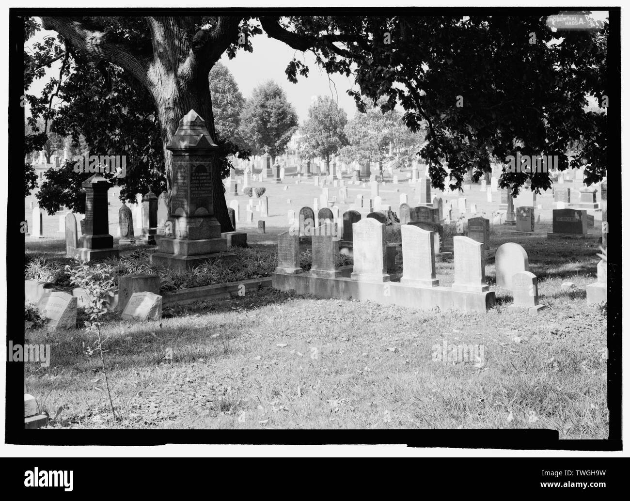 Erholung von C. FOTO 1913 und-147; GRÄBER DER OPFER VON DER VERBRENNUNG DER DAMPFGARER WAWASET-Kongresses Friedhof, 1801 E Straße, südöstlich, Washington, District of Columbia, DC Stockfoto