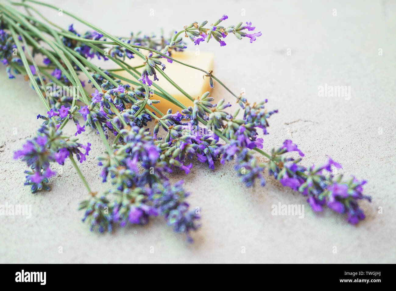 Lavendelblüten und natürliche Seife für die Körperpflege auf konkreten Hintergrund. Stockfoto