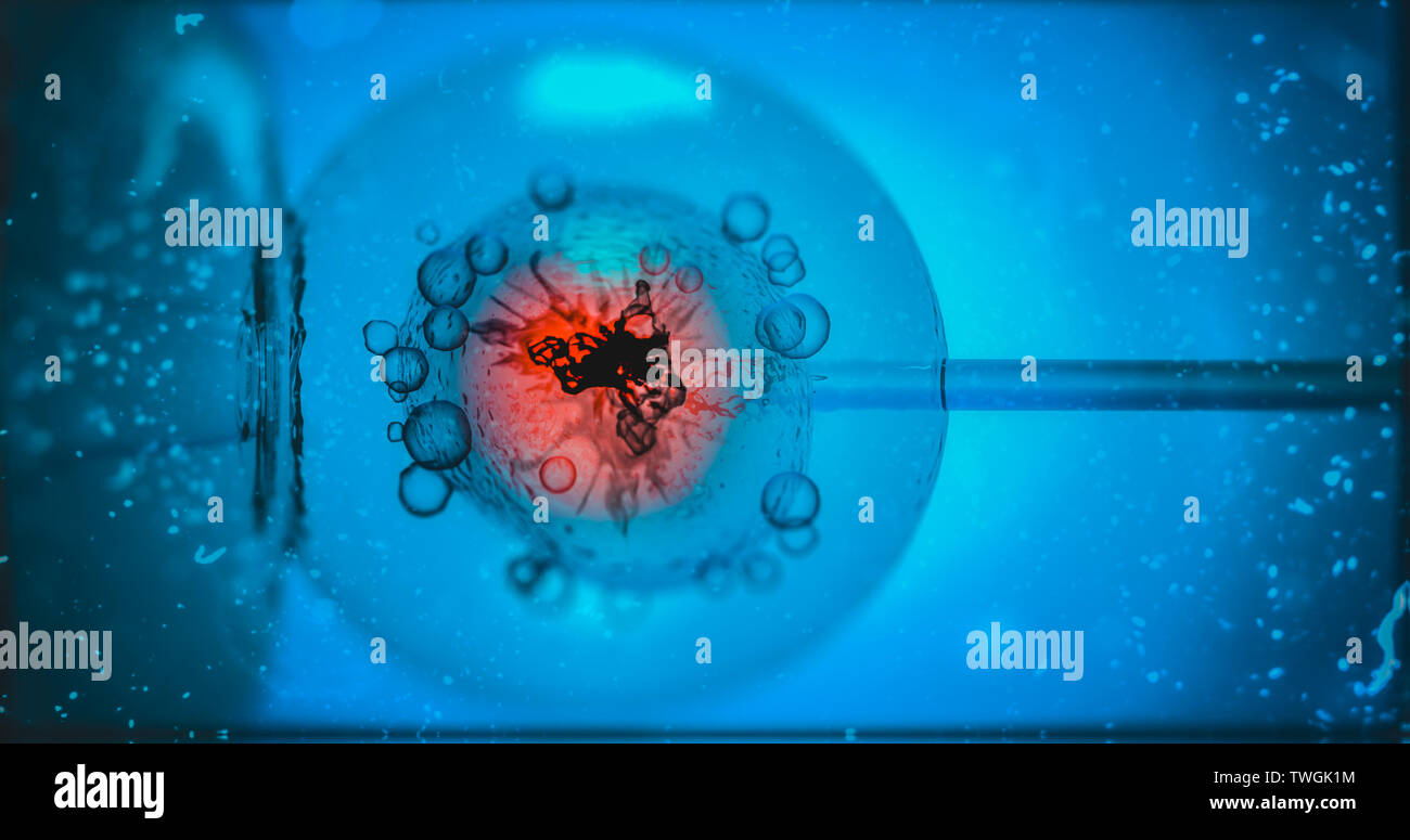 In-vitro-Fertilisation. IVF. Zelle unter dem Mikroskop. Maßgeschneiderter genom Bearbeiten von In-vitro-, Gene bearbeiten Embryo baby gentechnisch hergestellte 3D-Rendering Stockfoto