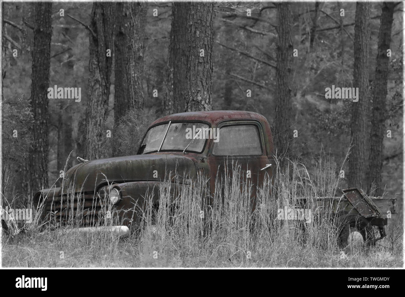 Alte verrostete Ford Aufnahme gefunden in Südcarolina Woods Stockfoto