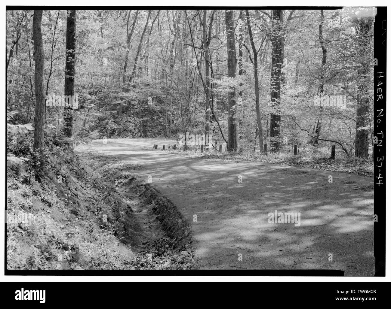 RIVERSIDE DRIVE NÖRDLICH VON DILL ZWEIG DÜKER mit konkreten Dachrinnen (LINKS) UND HOLZ STRASSE BARRIEREN (rechts). VIEW SE. - Silo National Military Park Tour Straßen, Silo, Hardin County, TN; U S Abteilung des Krieges; Johnston, Albert Sidney; Henderson, D B; Cleveland, Grover; Silo Schlachtfeld Association; Lee, E T; Öffentliche Verwaltung; Civilian Conservation Corps; Christianson, Justine, Sender, Harrell, holzig, Sponsor; Silo National Military Park, Sponsor; Croteau, Todd, Program Manager; Davis, Tim, Historiker Stockfoto