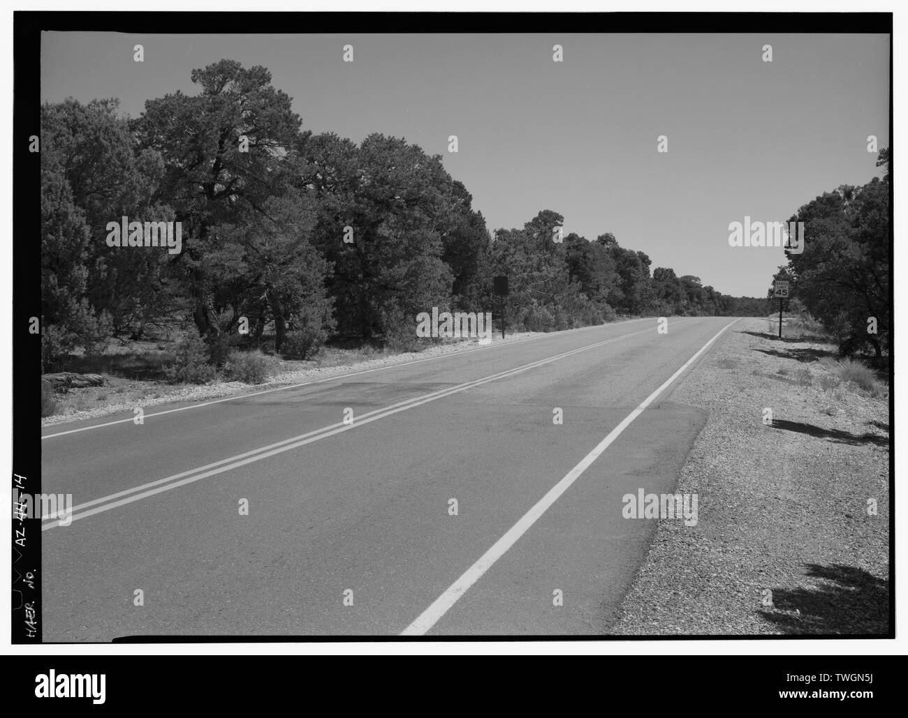 Straße TRANSITION ZONE IN TUSAYAN Ruine, MIT BLICK AUF NNE. Hinweis ÄNDERUNG IN DER SCHULTER. - East Rim Drive, zwischen Eingang Süd Straße und Park boundary, Grand Canyon, Coconino County, AZ Stockfoto