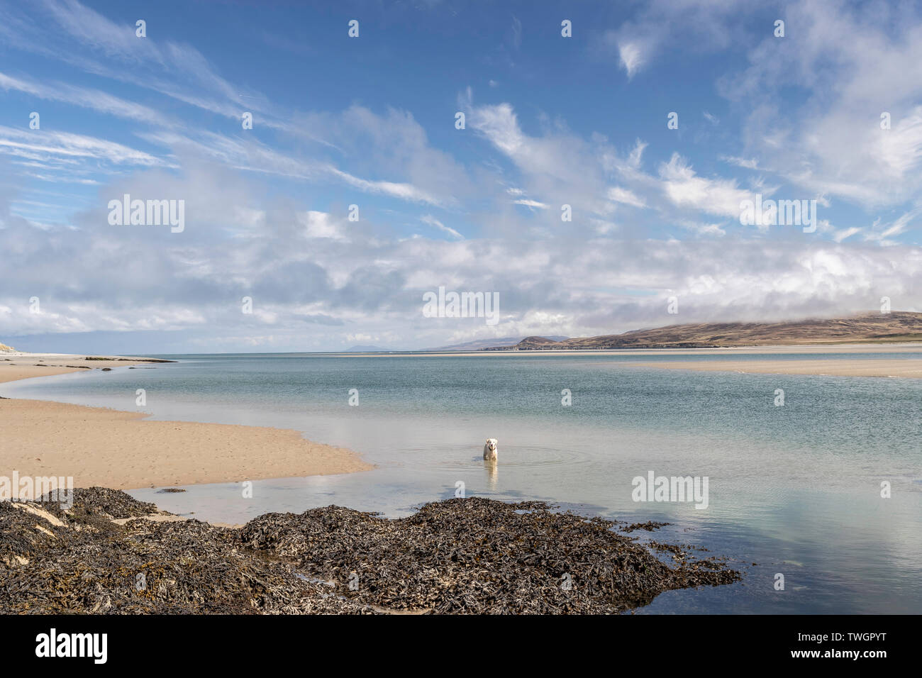 Strand und Küste an Ardnave Punkt, Islay, Schottland. Killinallan Punkt im Hintergrund. Stockfoto