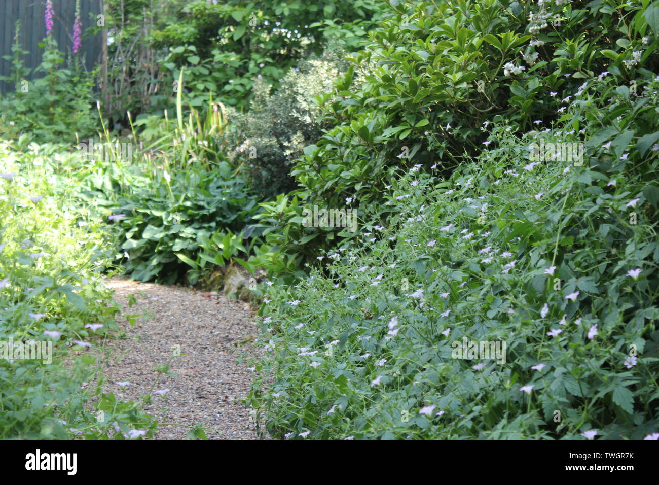 Blumen Garten Kiesweg Stockfotos & Blumen Garten Kiesweg Bilder - Alamy