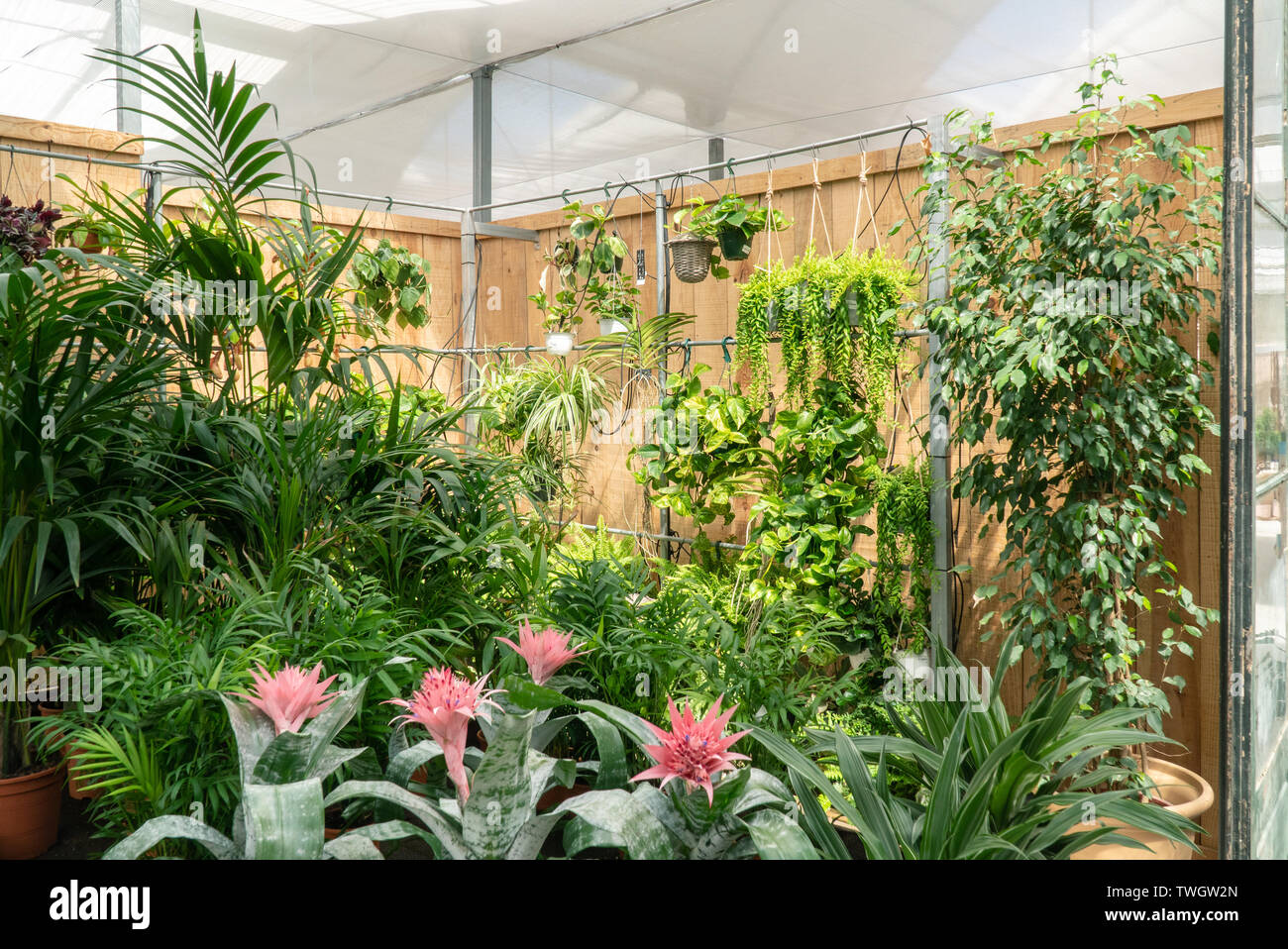 Garden Store entfernt. Gartenarbeit Konzept Stockfoto