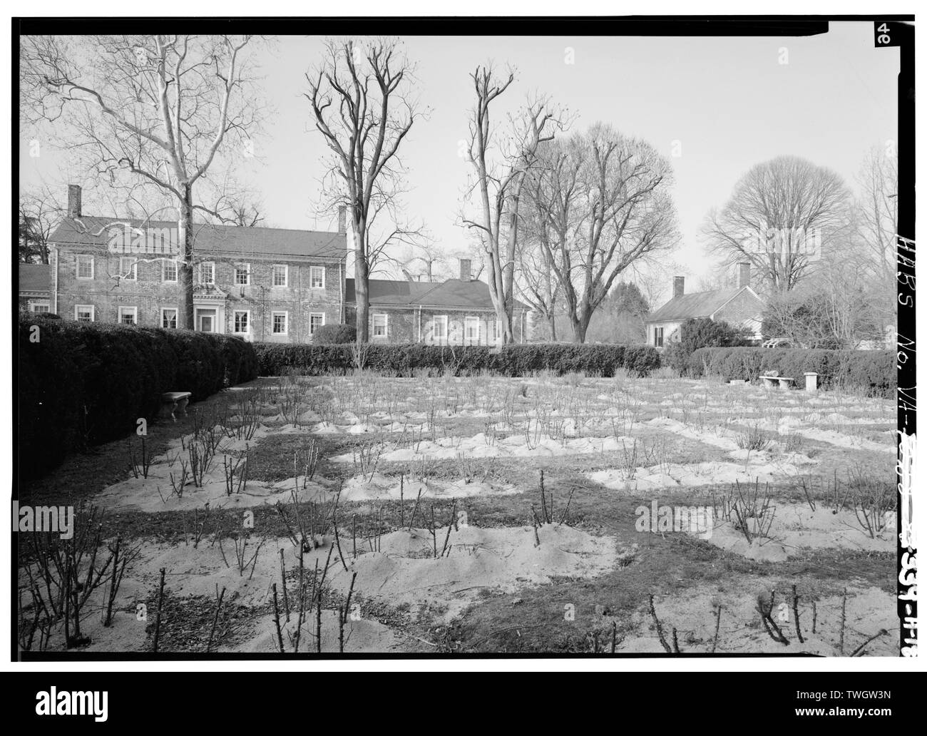 ROSE GARDEN, Blick von West nach Ost (hinten) an der Seite des Hauses, die Wäsche WIRD IM HINTERGRUND NACH RECHTS - Chatham, Garten Statuen und Grundstück, 0,2 km nordöstlich der Kreuzung der State Route 218 und 3, Falmouth, Stafford County, VA Stockfoto