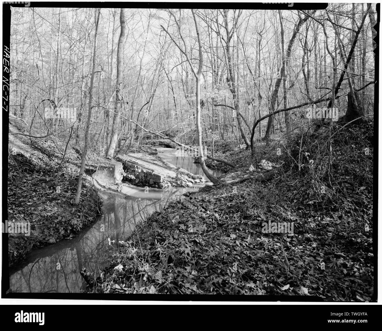 Randall Seite, Fotograf, Dezember 1977. Westen nach Osten in Richtung Ort. - McCulloch Gold Mill, Kupfer Zweig, nördlich von der State Route 1153, Jamestown, Guilford County, NC Stockfoto