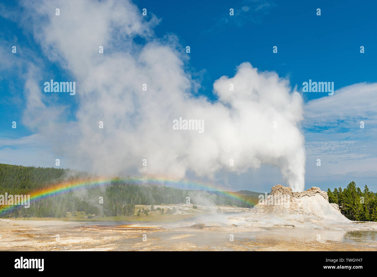 Schloss Geysir mit Ausbruch und einen Regenbogen in die Upper Geyser Basin, Yellowstone National Park, Wyoming, Vereinigte Staaten von Amerika, USA. Stockfoto