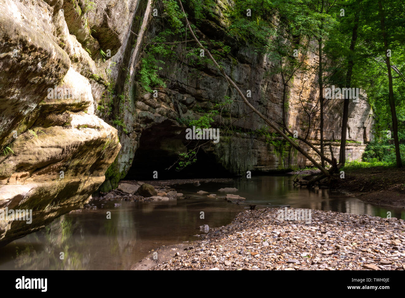 Spätfrühling im Illinois Canyon, Hungered Rock State Park, Illinois Stockfoto