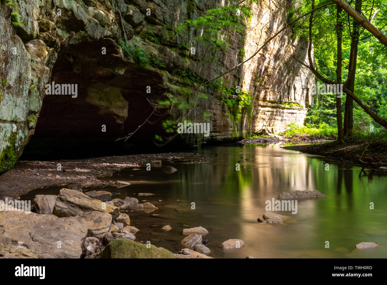 Spätfrühling im Illinois Canyon, Hungered Rock State Park, Illinois Stockfoto