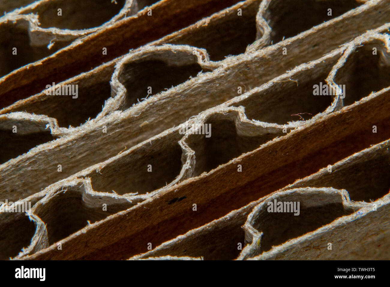 Recycle box Karton closeup Bild Stockfoto
