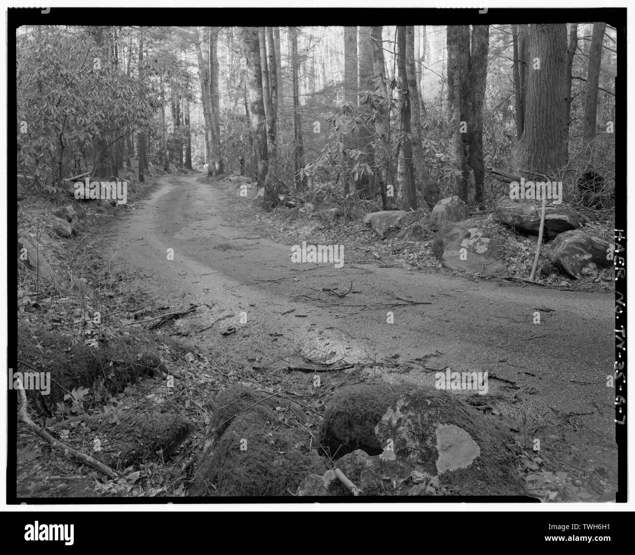 Roaring Fork Motor Nature Trail, Felsen entlang der Straße. - Great Smoky Mountains National Park Straßen und Brücken, Roaring Fork Motor Nature Trail, zwischen Cherokee Orchard Road und U.S. Highway 321, Gatlinburg, Sevier County, TN; Büro der öffentlichen Straßen; Civilian Conservation Corps; Beschleunigte öffentliches Arbeitsprogramm; Lupyak, Edward, Feld team Projektleiter; Croteau, Todd, Projektleiter; Quint, Richard, Projektleiter; Great Smoky Mountains National Park, Sponsor; National Park Service Straßen und Parkway Programm, Sponsor; Bundesländer Highway Programm, Sponsor Stockfoto