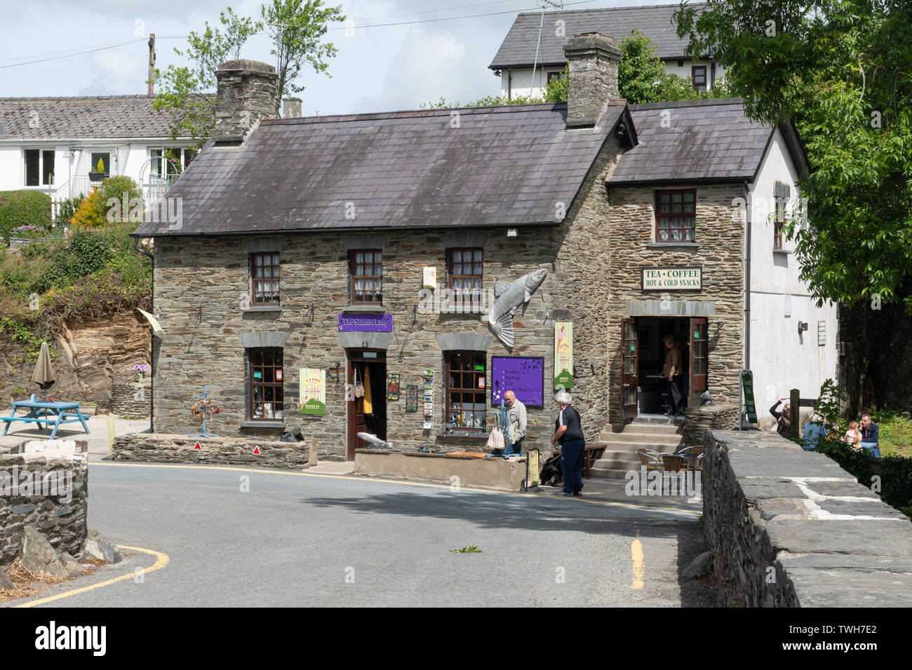 Die Lachse springen Gift Shop und Café im Cenarth fällt auf den River Teifi in Carmarthenshire, Wales, Großbritannien Stockfoto