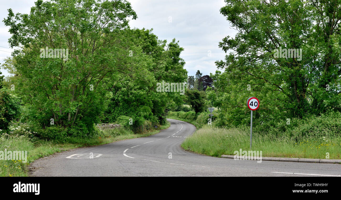 Kleines Land mit Bäumen gesäumten Gasse in ländlichen Landschaft von Somerset, England Stockfoto