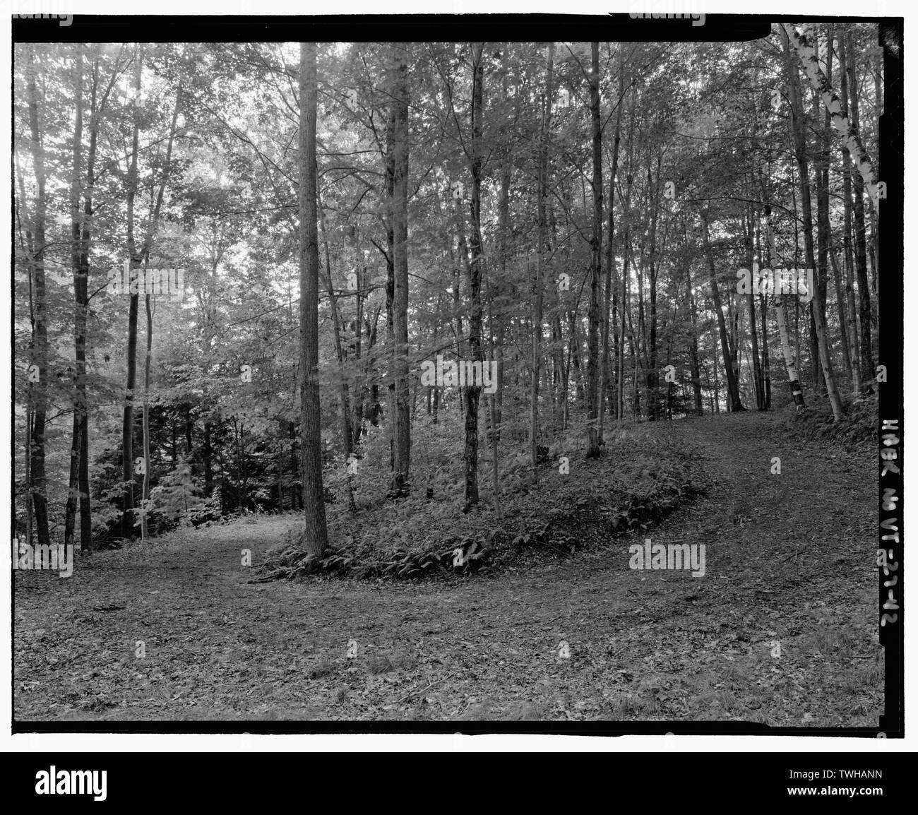 S-Kurve entlang der Ridge Road, untere Schleife. Anzeigen SW - Marsh-Billings-Rockefeller Beförderung Straßen, Woodstock, Windsor County, VT; Copeland, Robert Morris; Hutcheson, Martha Brookes Braun; Lynch, Bryan J; Französisch, Mary; Marsh, Charles; Marsh, George Perkins, Billings, Friedrich; Laurance Rockefeller, Spelman; Cady, James, Billings, Sophia Wetherbee, Billings, Oel, Billings, Laura, Billings, Julia Parmly; Downing, Andrew Jackson, Dana, Henry S; Aitken, George, Billings, Mary Montagu, Billings, Elizabeth; Kittredge, Elsie; Französisch, John; Hitchcock, Elizabeth Französisch; Christianson, Justine, Sicherheitsstandards Stockfoto