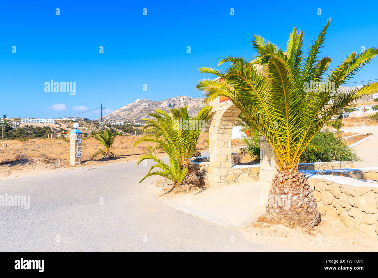 Küstenstraße mit Palmen entlang der wunderschönen Meer bei ammopi Strand, Insel Karpathos, Griechenland Stockfoto