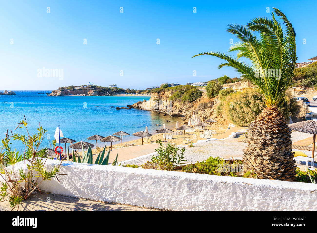 Palme und schönen Ammopi Strand, Insel Karpathos, Griechenland Stockfoto