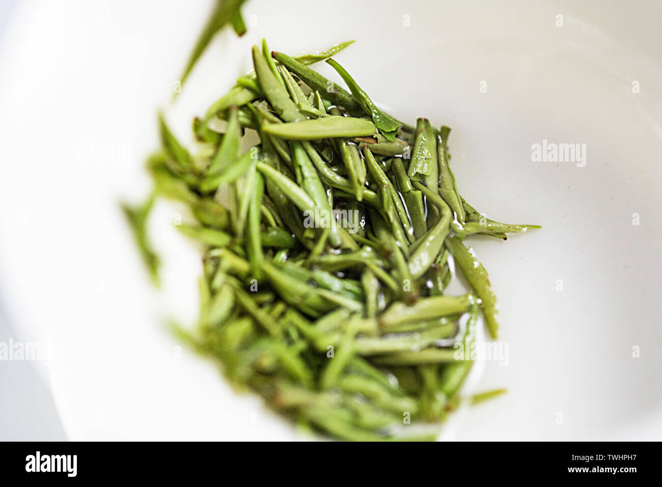 Spezielle hochwertige einzelne Knospe vor Mao Jian in Xinyang Stockfoto