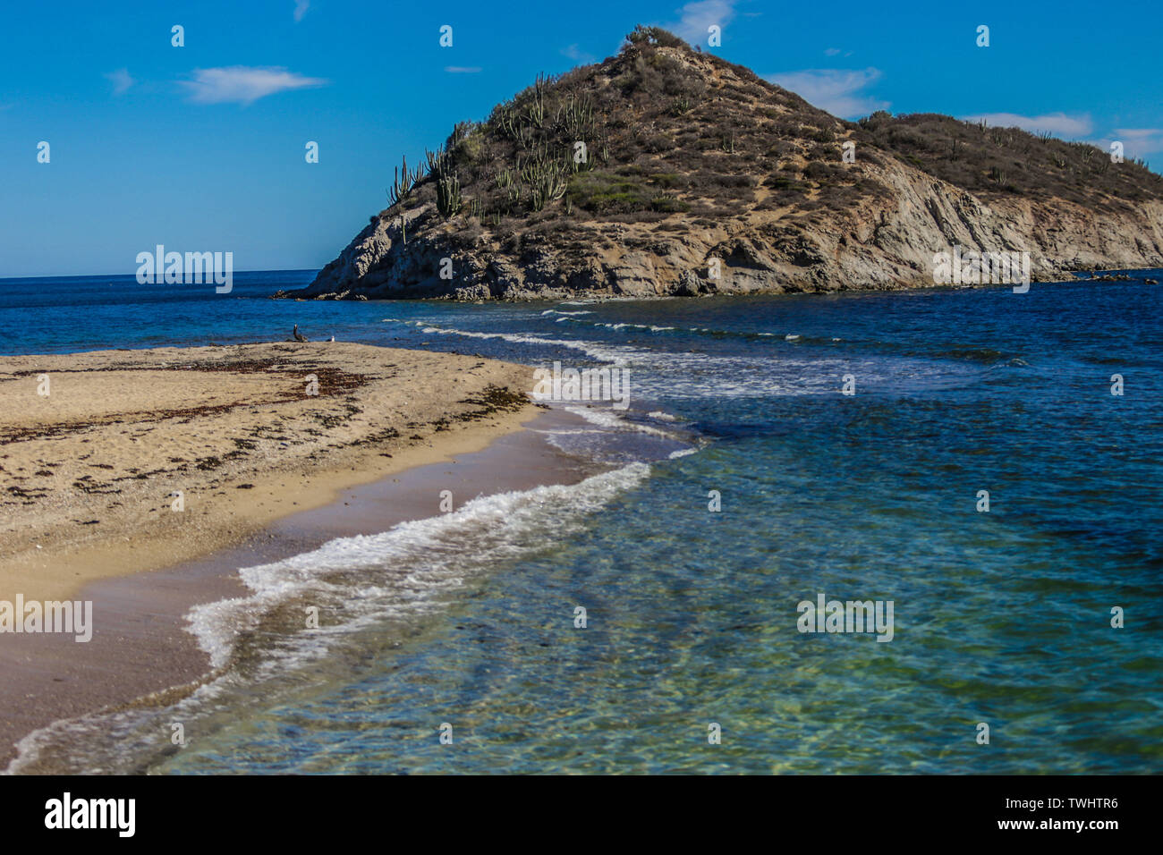 Strand. Bucht von San Carlos, Sonora, Mexiko. Golf von Kalifornien. Das Meer von Cortés. Mar Bermejo, befindet sich zwischen der Halbinsel Baja California. San Carlos, Sonora Mexiko. San Carlos, Sonora Mexico. (Foto: LuisGutierrez/NortePhoto.com) Stockfoto