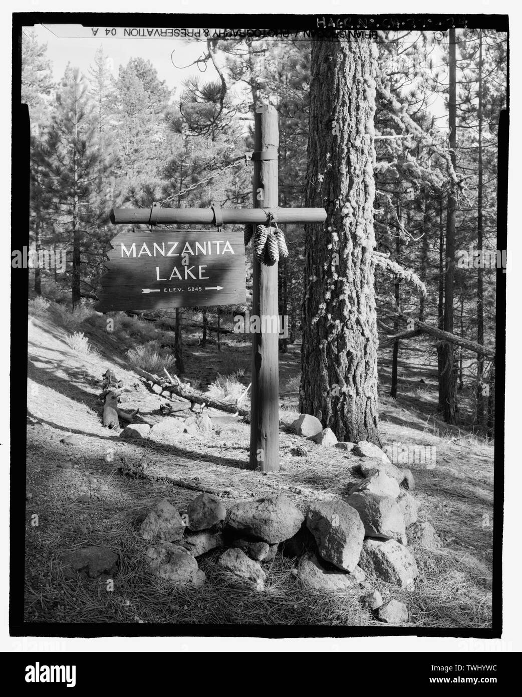 Unterschreiben Sie bei MANZANITA LAKE. Suche E.-Lassen der Park Road, Mineral, Tehama County, CA Stockfoto