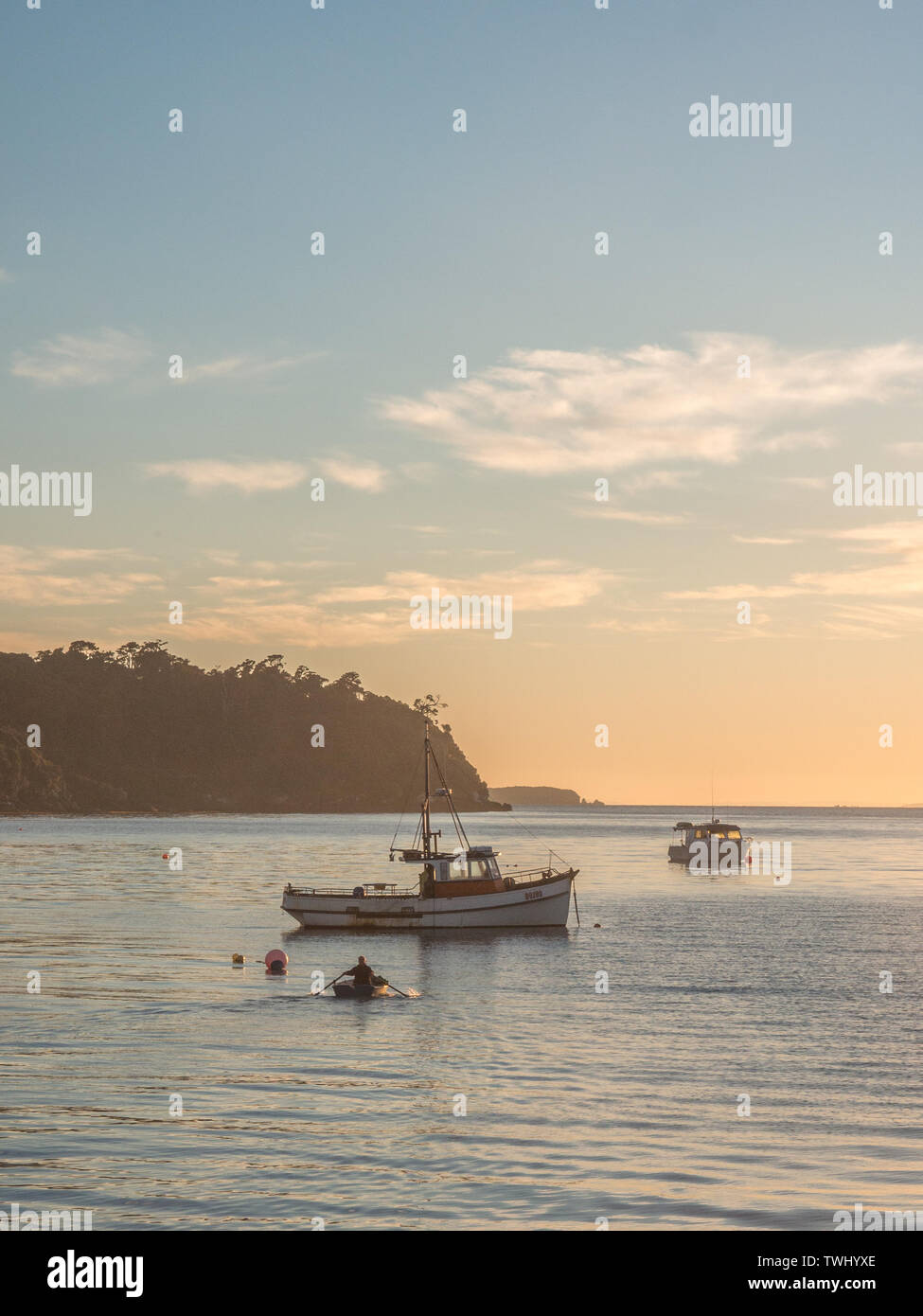 Am frühen Morgen Licht durch ein ruhiges Meer wider, ein Mann Rudern ein beiboot zu einem Verankerten yacht, Halfmoon Bay, Rakiura Stewart Island, Neuseeland Stockfoto