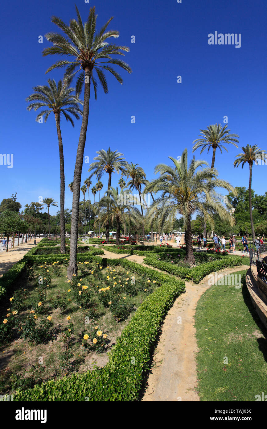 Spanien, Andalusien, Sevilla; Parque de Maria Luisa, Stockfoto