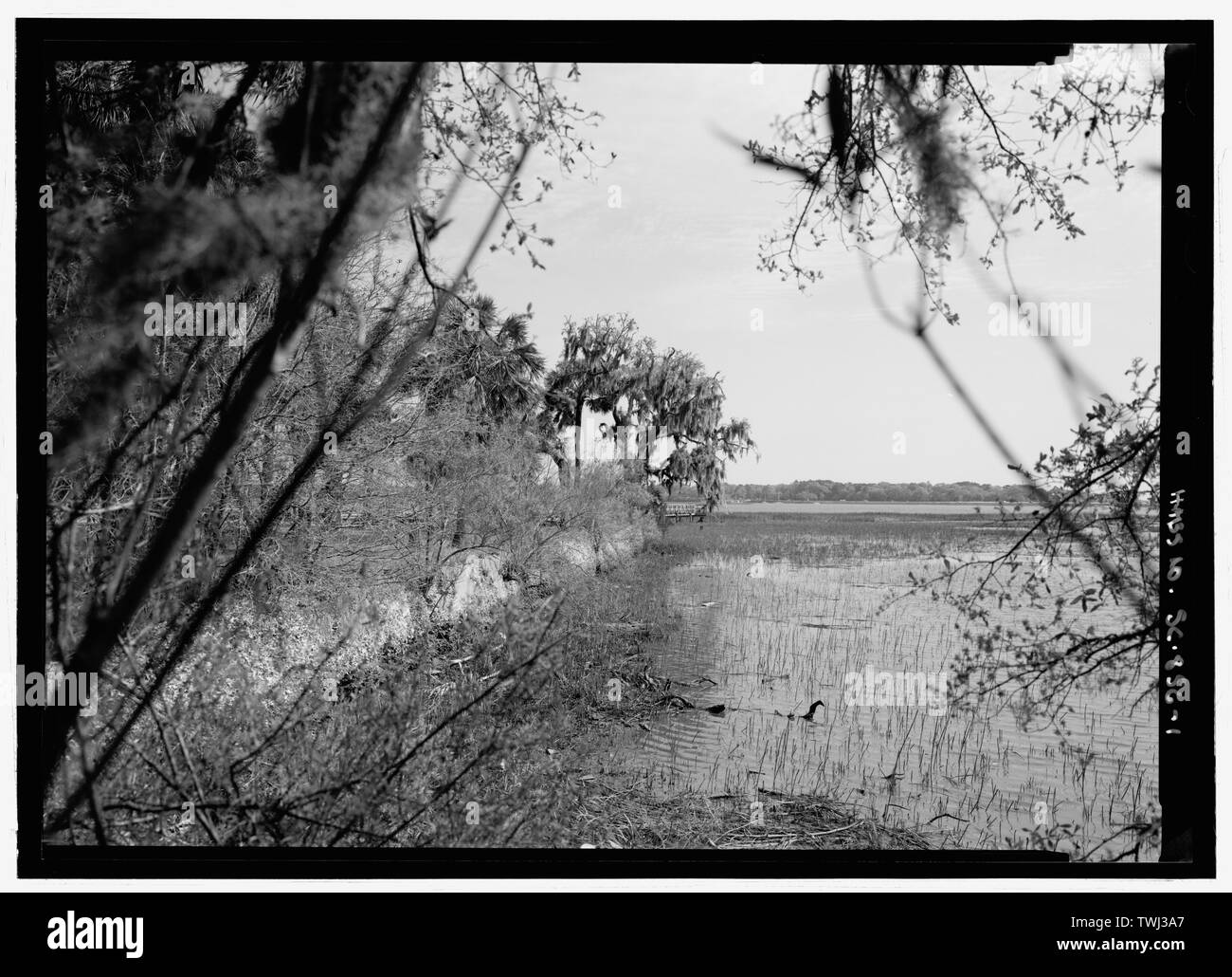 - Seawall, Fuß von Hamilton Street, Beaufort, Beaufort County, SC; Historische Beaufort Foundation, Sponsor; Preis, Virginia Barrett, Sender; Boucher, Jack E, Fotograf; Brooker, Colin, Historiker Stockfoto