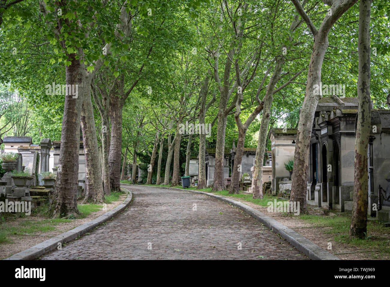 Pere Lachaise Friedhof, Gräber, Alleen und Bäume, Paris, Frankreich Stockfoto