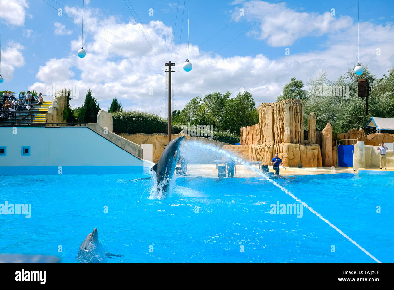 Parc Astérix Delphin Show in Paris Stockfoto