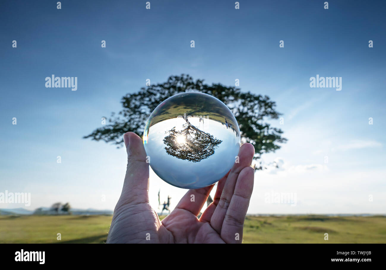 Einen schönen grossen Baum mit blauen Himmel Fotografie in klarem Kristall Glas Kugel. selektive Fokus Stockfoto