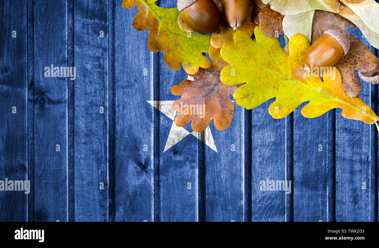 Somalia Flagge auf Herbst Holz- Hintergrund mit Blättern und guter Platz für Ihren Text. Stockfoto