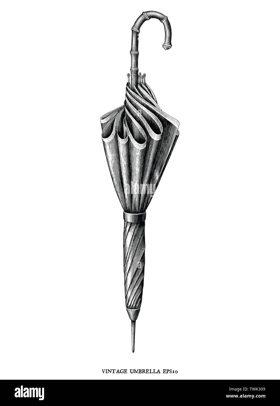 Antike Gravur vintage Abbildung Stil der Regenschirm Schwarz und Weiß  Clipart auf weißem Hintergrund Stock-Vektorgrafik - Alamy