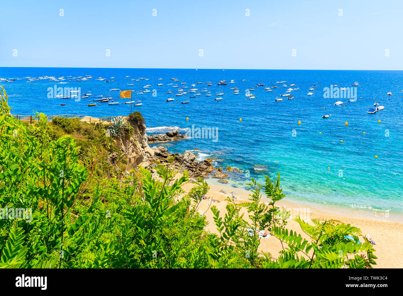 Super Strand von Calella de Palafrugell, malerischen Fischerdorf mit weißen Häusern und Sandstrand mit klarem, blauem Wasser, Costa Brava, Katalonien, Spanien Stockfoto