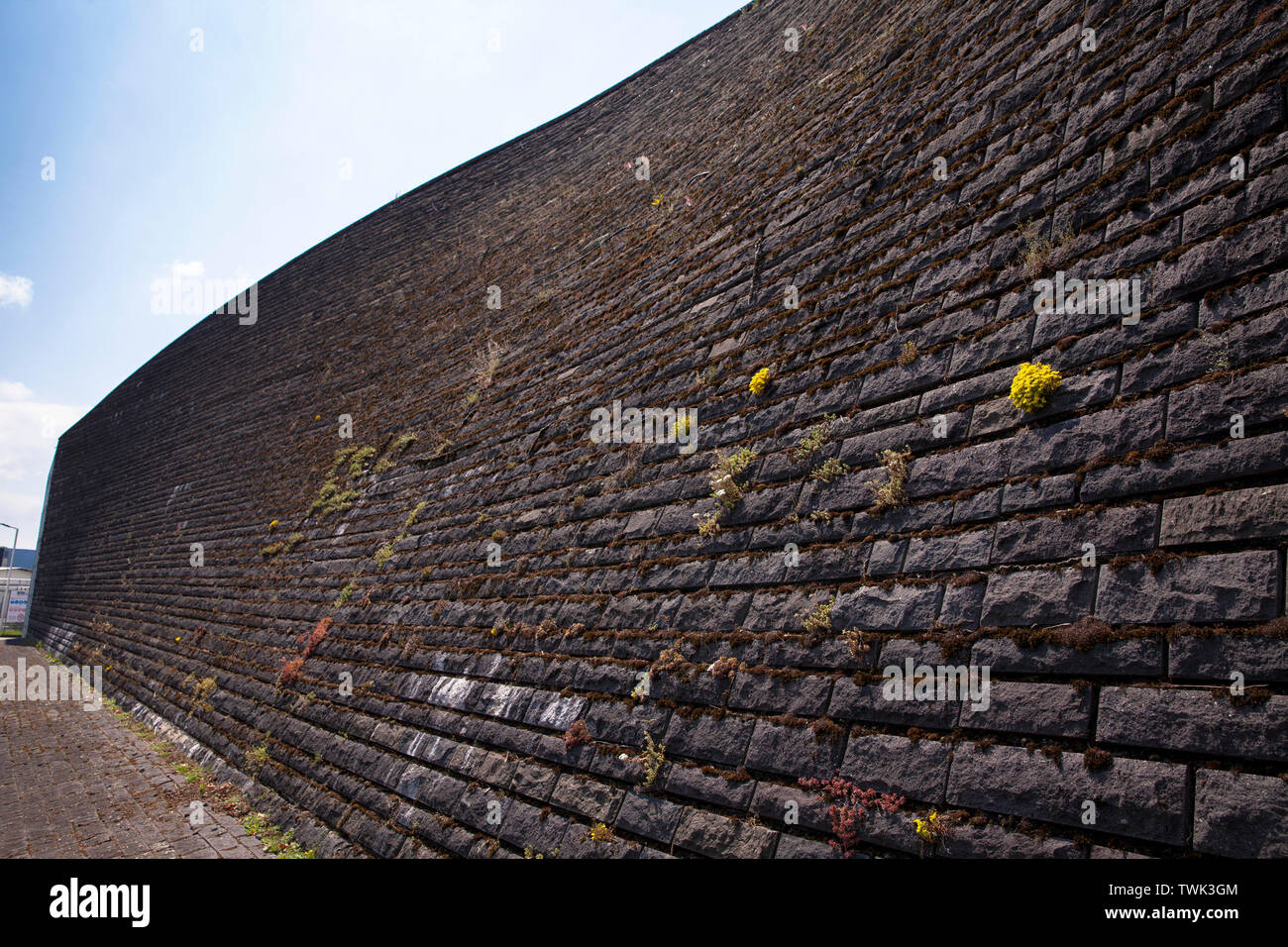 Basalt Fassade der Flut Pumpstation am Rhein in Koeln-Niehl, die Vegetation der Wand mit Moos und anderen Pflanzen, ist Absicht, DA Stockfoto