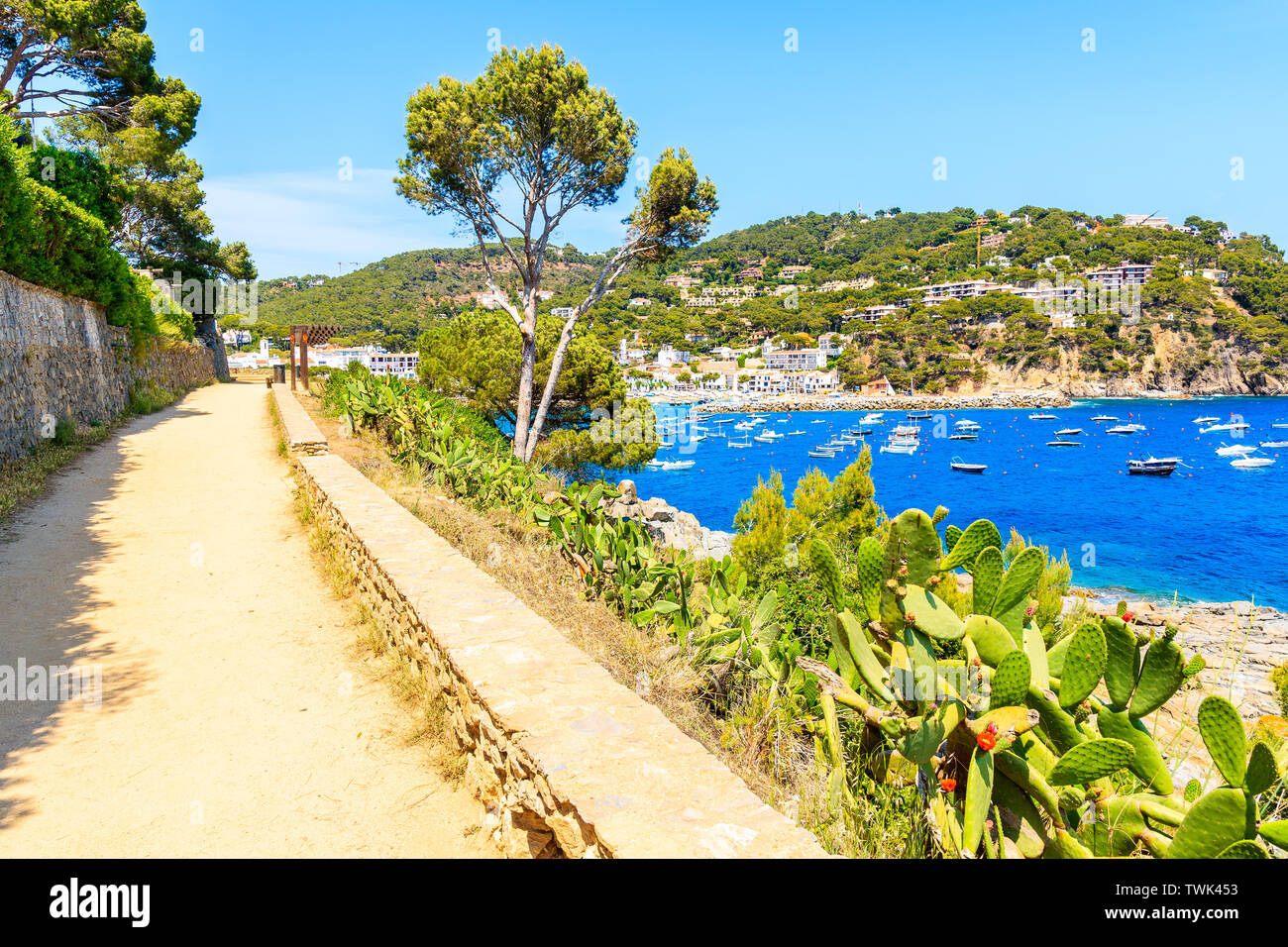 Küstenweg von Calella, Llafranc auf schönen Sommertag, Costa Brava, Spanien Stockfoto
