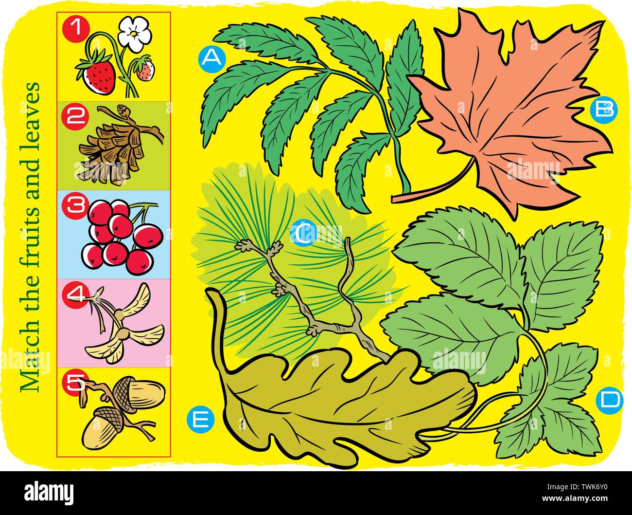 Vector Illustration, wo es notwendig ist, die Blätter und Früchte der Bäume richtig zu passen Stock Vektor