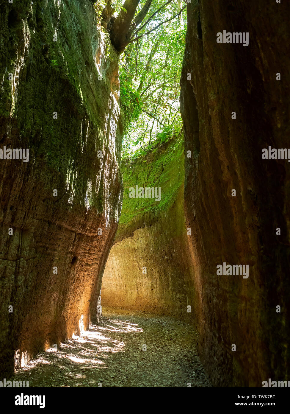 SOVANA, Toskana, Italien - 16. Juni 2019 über Cava, Höhle ie tiefen Schnitt ausgegraben Straßen, die von der etruskischen Zivilisation durch Tuffstein erstellt, Sovana in Stockfoto