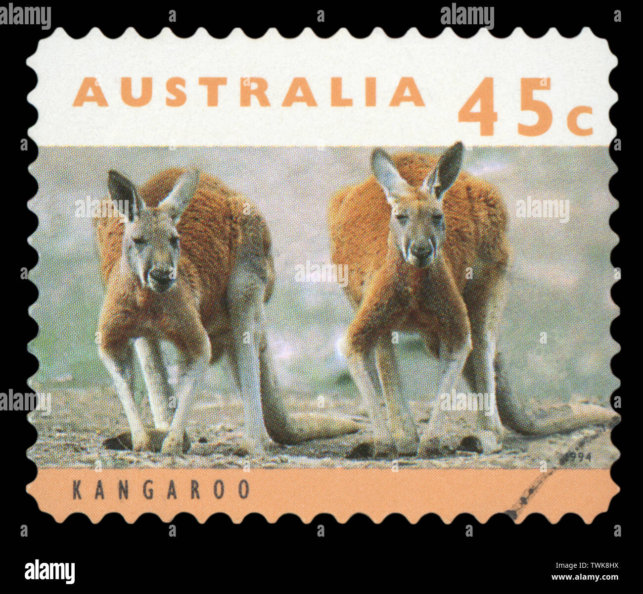Australien - ca. 1994: einen gebrauchten Briefmarke aus Australien, zeigt ein Bild der Kängurus, circa 1994. Stockfoto