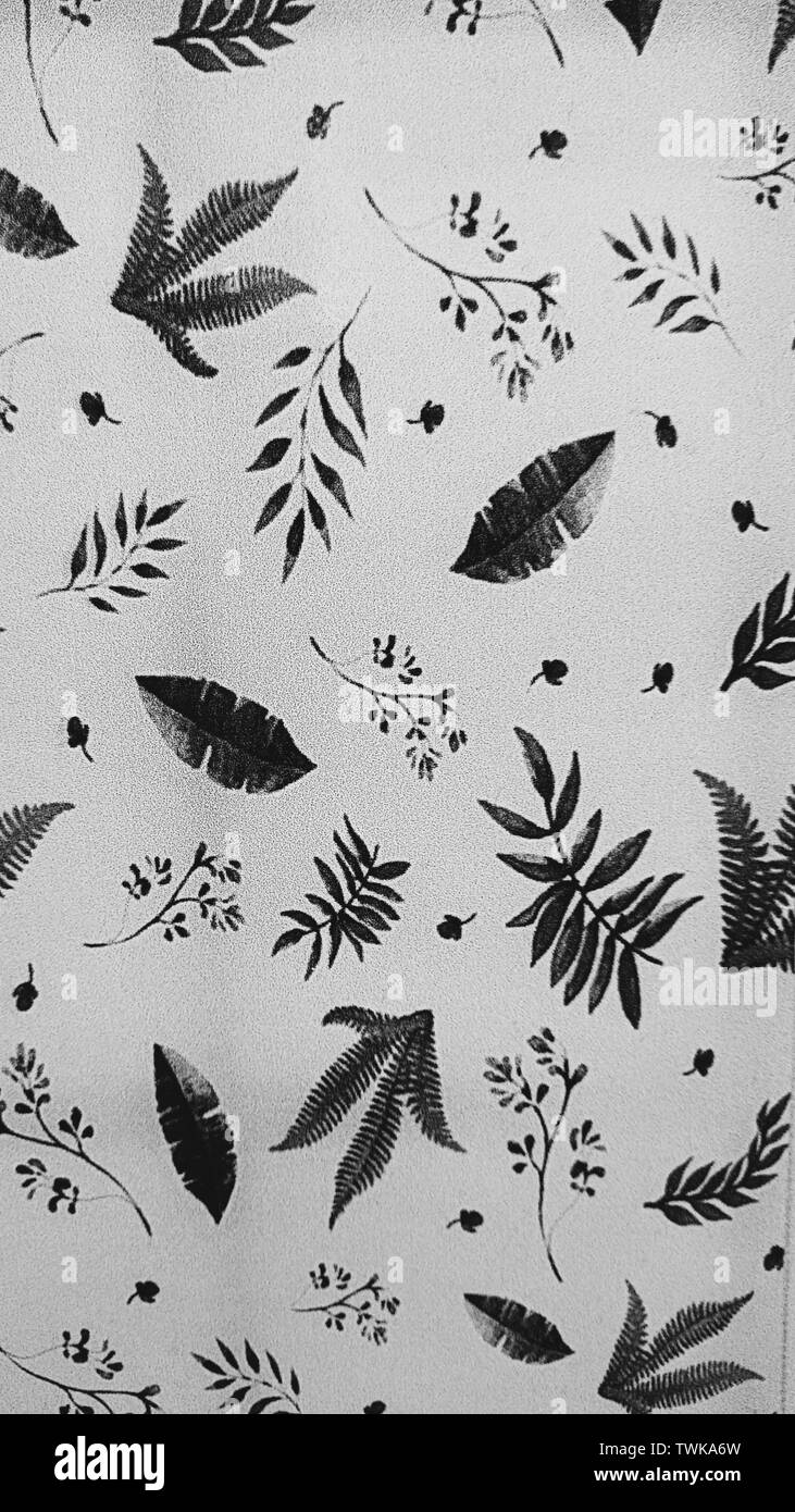 Bild für Hintergrund und Grafiken Ressource in Schwarz und Weiß Stockfoto