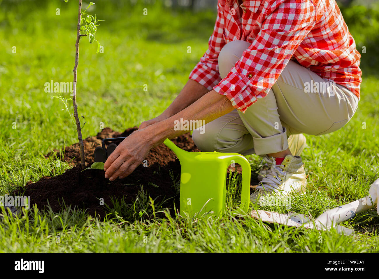 Das Graben nach der Bewässerung. In der Nähe der weiblichen Händen tragen bequeme Turnschuhe graben Boden nach der Bewässerung Baum Stockfoto